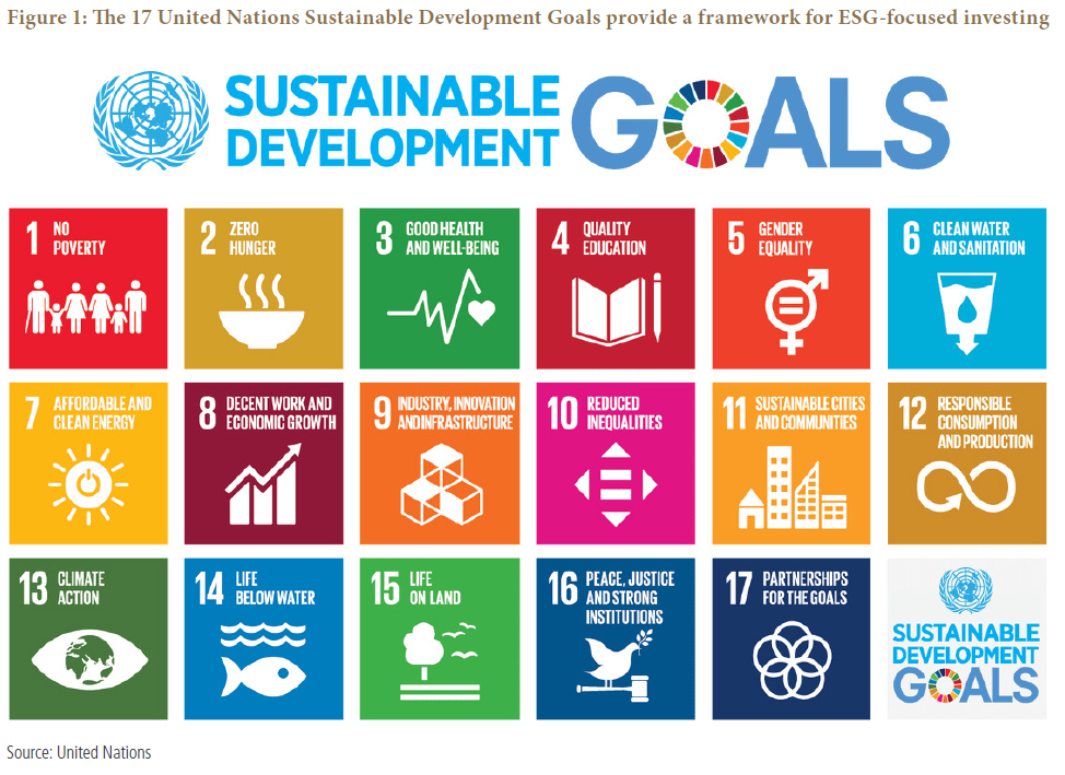 Figure 1 is a diagram that shows the 17 United Nations Sustainable Development Goals (SDGs). Each square is labeled as a goal, ranging from Goal 1 (No Poverty) to Goal 17 (Partnerships for the Goals). Details within.